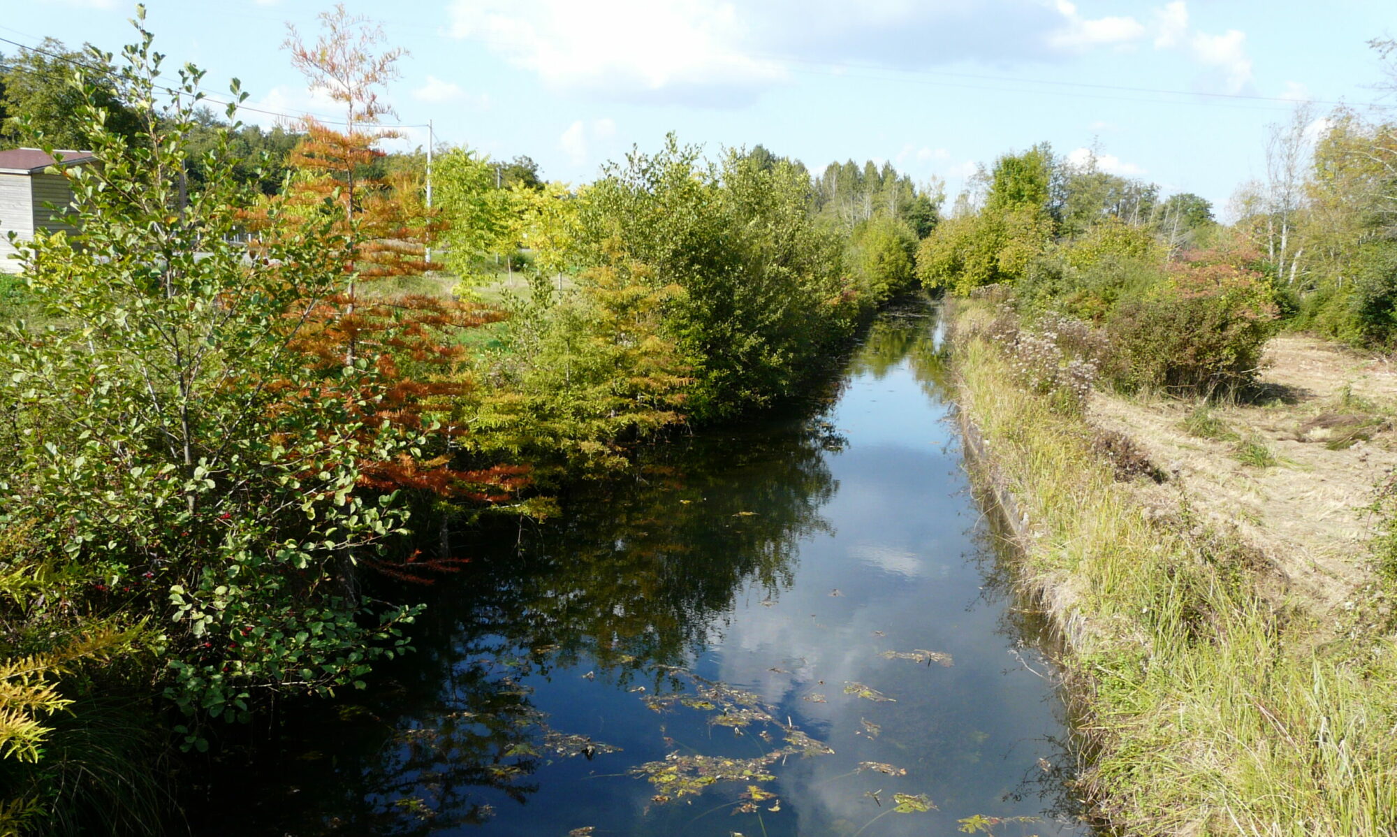 Rivière la Beauronne